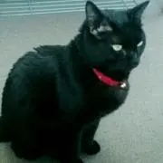 hideちゃん大好き