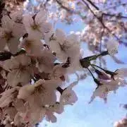 yu-の画像