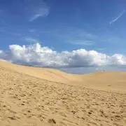 Satoriの画像