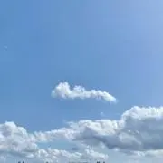 mimiの画像