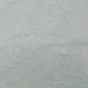パールの画像