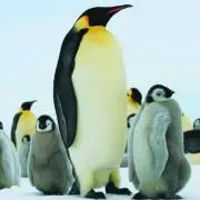 ぺん@