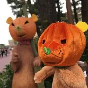 MM2の画像