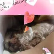 Pelo♪