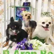 eruドリ❤︎プロフ必読❣️の画像