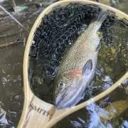 しゅんちょんの画像