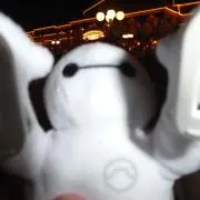 毒キノコの画像