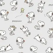 KIKIの画像