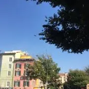 ぽんの画像