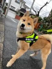 Sorakara1232の画像
