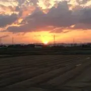 paRuNϋ♡の画像