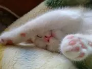 カラン