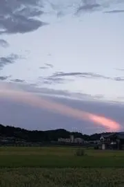 たかぼっちの画像