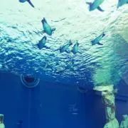 TAKの画像