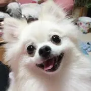 ゆっき