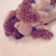 メル