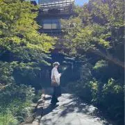 しんの画像