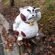 ぽんたぬきち