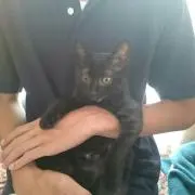 さとちゃん