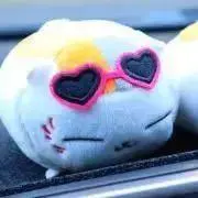 てんちゃんの画像