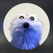 ぴーの画像
