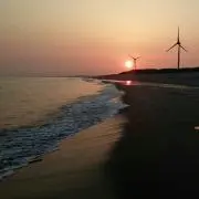 サニー