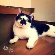 ゆや*土日発送*プロフ一読お願いします
