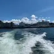 さーっち