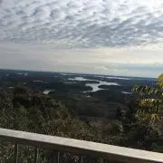 クモノの画像