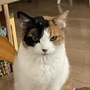 タケ☺︎お値引きできる物はします☺︎の画像