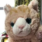 sinaの画像