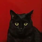 コントレックスの画像