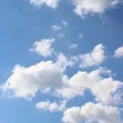 ちゃむ郎