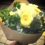 ちの画像