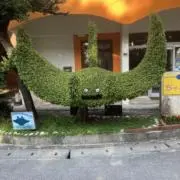 一人の画像