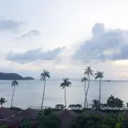 Jalanの画像