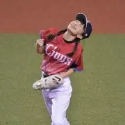 osa200の画像