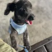 よっし〜