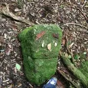 haseの画像