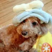 こちゃmama♡の画像