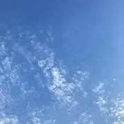 ゆゆの画像