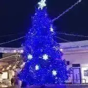 てて　プロフ必読お願いしてます。の画像