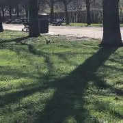 koooichiの画像