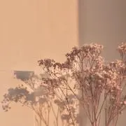 さあ