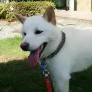 Cassie★プロフィールご確認くださいの画像