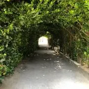 opt112の画像