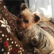 HANA