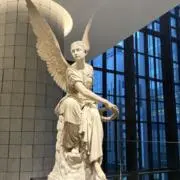 サクラ前線の画像