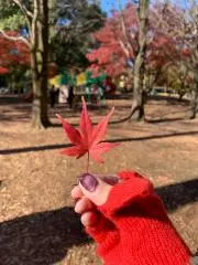 Miiiの画像