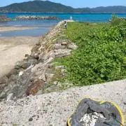 なみの画像